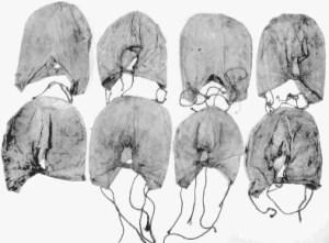 Canvas Hoods Worn by Lincoln Assassination Conspirators before Trial July 7, 1865