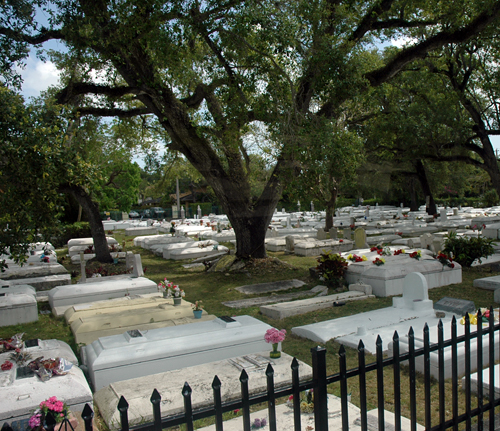 Michael Jackson's "Thriller" video was filmed in the historic Coconut Grove Bahamian Cemetery in Miami, Florida