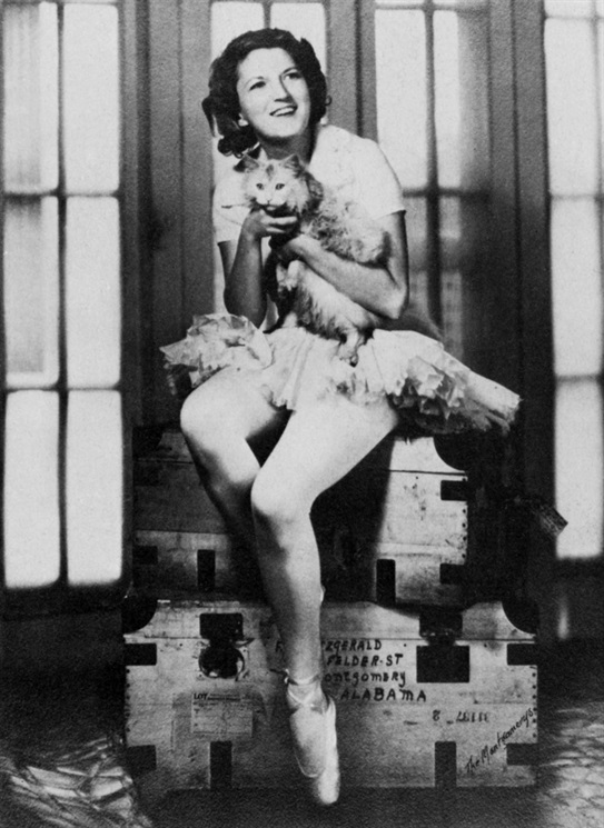 dbdd3d82-d1b0-4df0-92b4-93e6b4fdaccd